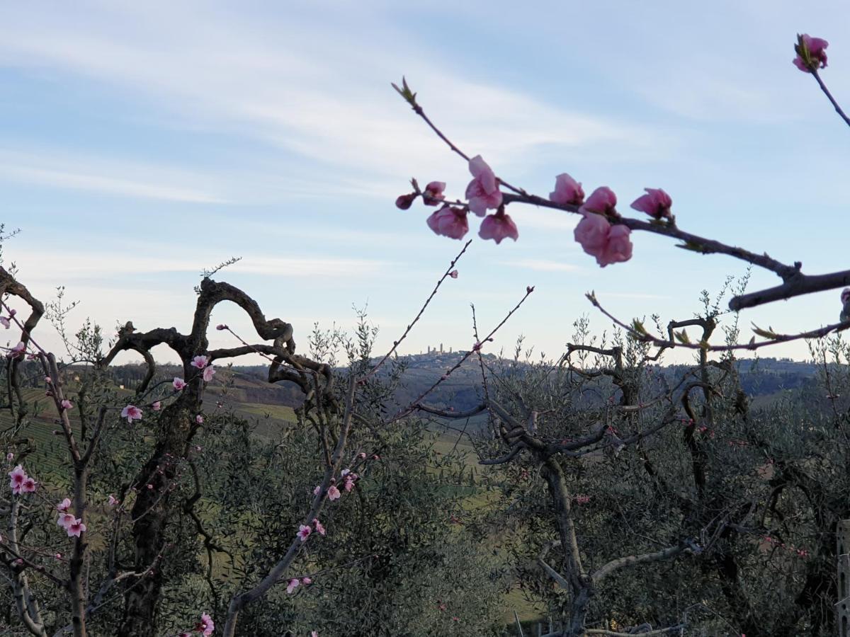 Agriturismo Villino Del Grillo Villa San Gimignano Exteriör bild