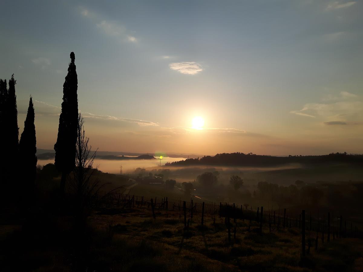 Agriturismo Villino Del Grillo Villa San Gimignano Exteriör bild