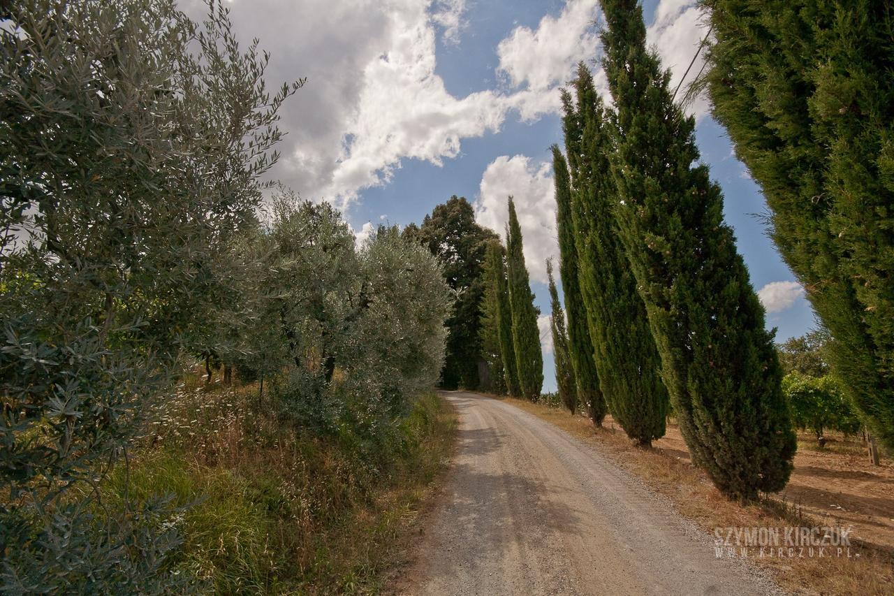 Agriturismo Villino Del Grillo Villa San Gimignano Exteriör bild