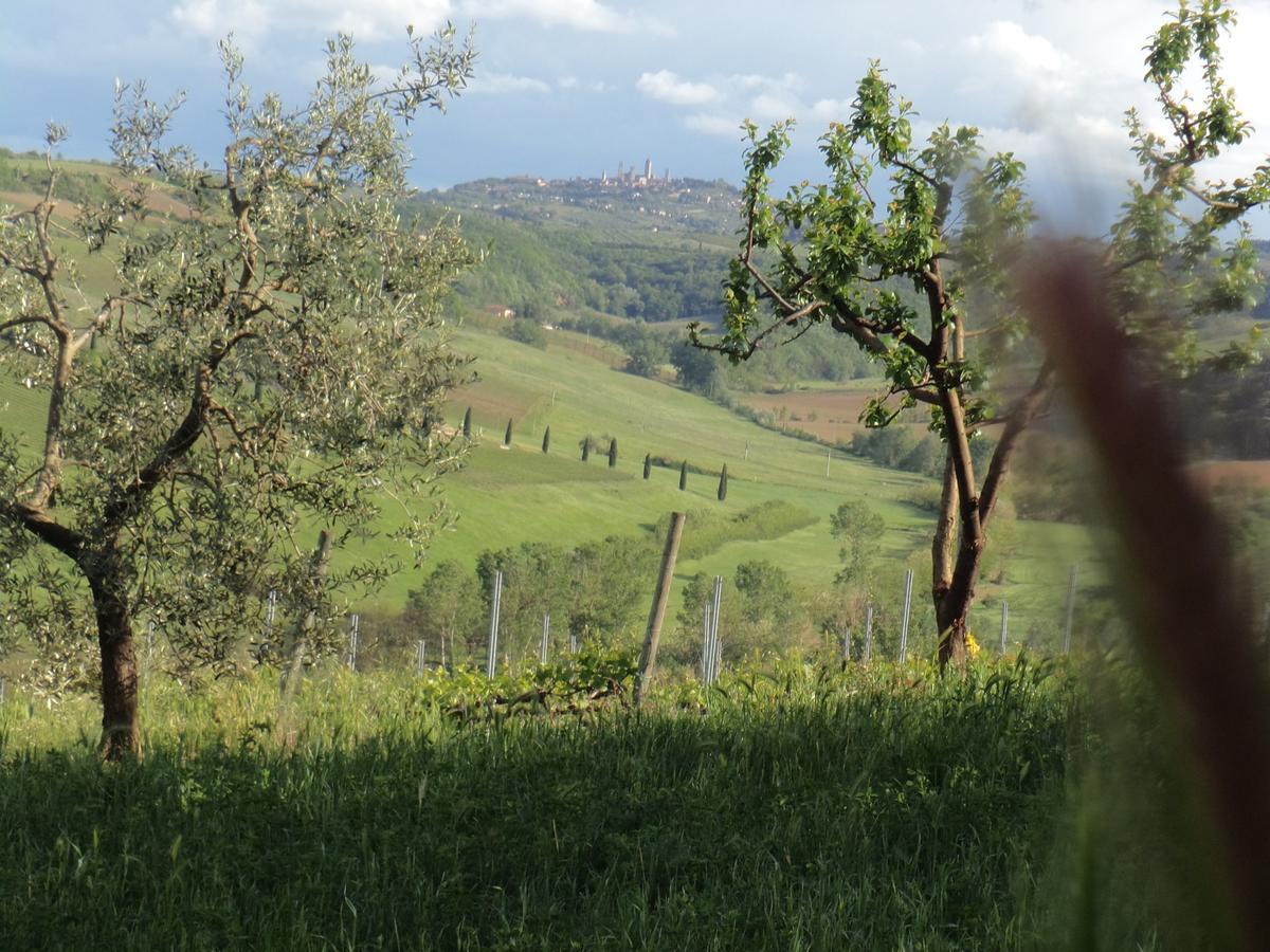 Agriturismo Villino Del Grillo Villa San Gimignano Exteriör bild