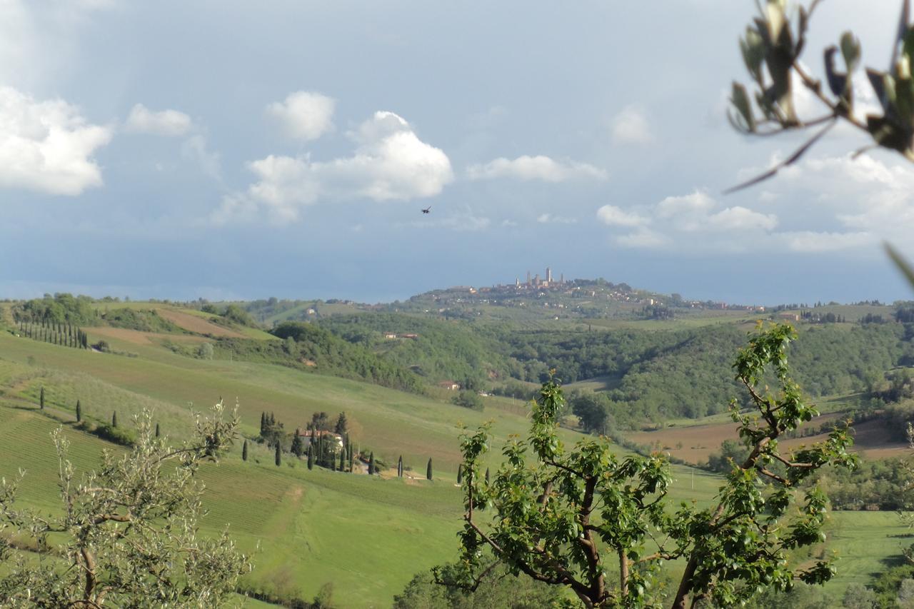 Agriturismo Villino Del Grillo Villa San Gimignano Exteriör bild