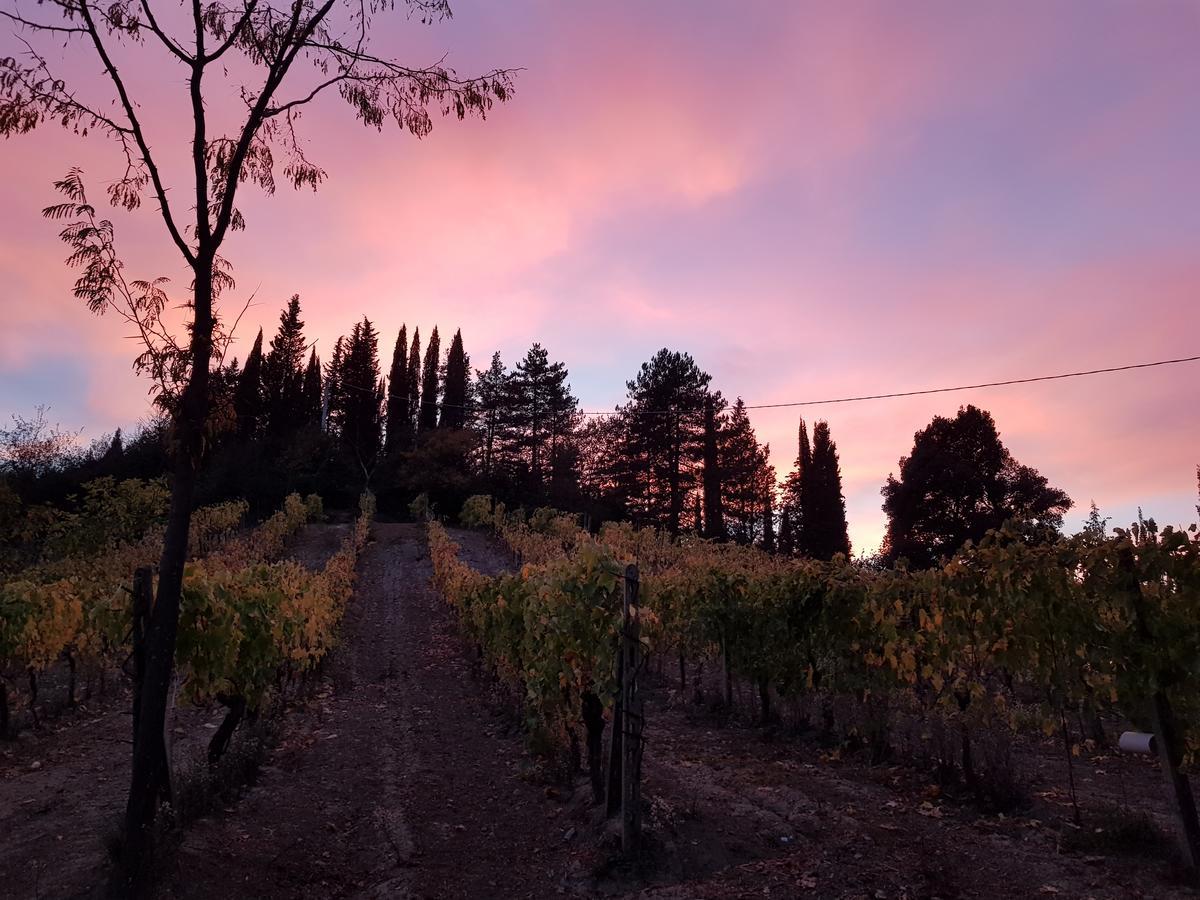 Agriturismo Villino Del Grillo Villa San Gimignano Exteriör bild